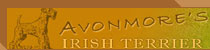 Mit einem Klick kommen Sie auf die Homepage des Zwingers "Avonmore's"
