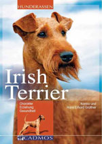 Geschichten rund um den Irish Terrier
