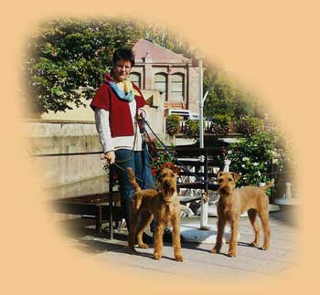 Irish-Terrier in Straßburg (D. Hamacher mit Loulou und Antonia)