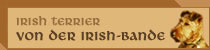 Homepage der Irish Terrier "v. d. Irish-Bande